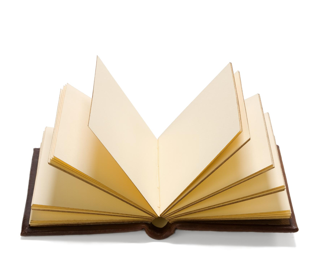 Regular Security Audits